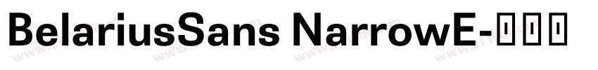 BelariusSans NarrowE字体转换 BelariusSans NarrowE字体转换